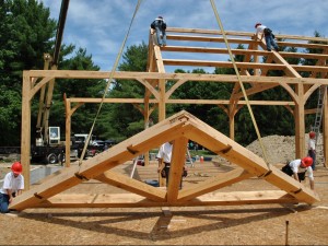 Natural Element Timber Frame